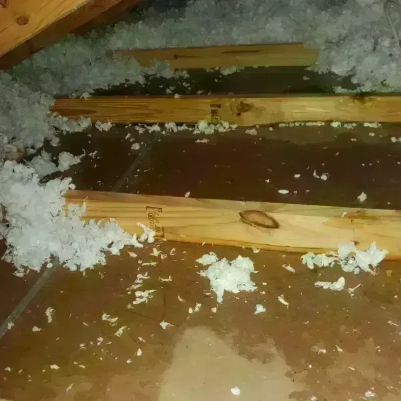 Attic Water Damage in Providence, RI